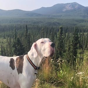 Meet your Posher, Cauy